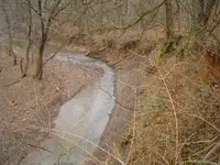 Nature pic\'s 016.webp
