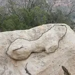 arrowhead_2_018_A.webp