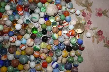 IMG_0501.webp