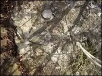 rock2.webp