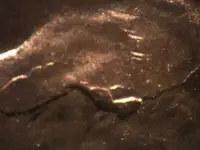 lincoln1958dhair4.webp