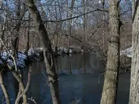 smallmouth haven.webp