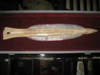 IMG_7620 (Large).webp