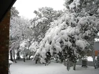 DSCN0356.webp