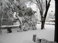 DSCN0357.webp