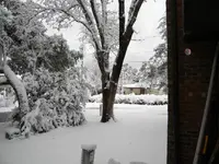 DSCN0358.webp