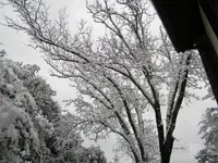 DSCN0359.webp