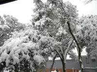 DSCN0360.webp