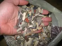 IMG_7608 (Large).webp