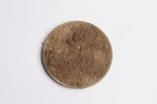 florin2.webp