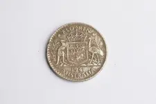 florin4.webp