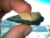 !cid__1231091635.webp