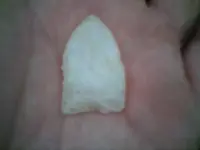 !cid__1230091346.webp