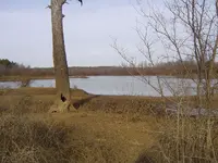Bottom land walk 004.webp