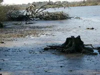 Wharf midden stretch.webp
