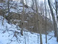 012.webp