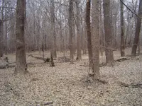 Bottom land walk 007.webp