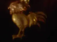 Metal Dectecting 1-1-10 002.webp