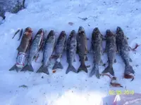 west grand lake day 1.webp