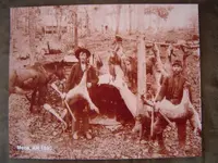 Hunting camp 001.webp