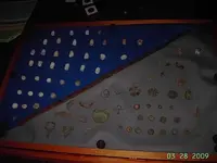 display case 001.webp