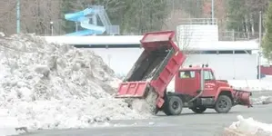201266509.webp