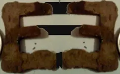 frame.webp