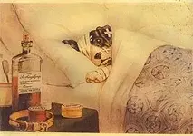 Dog in bed with collar.webp
