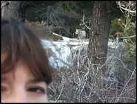 8.webp
