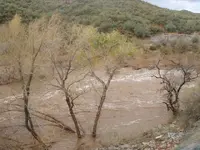 BCC floods 012.webp