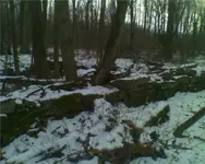 ch1.webp