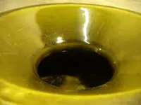 DSCN54310023.webp