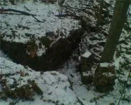 ch.webp