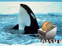 toastersandwhale.webp