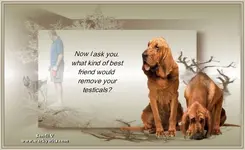 !cid_008601cab627$fb9d24c0$59D58B2E@D2T8Y421.webp