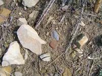Good Day\'s Hunt 001 (3).webp Good Day\'s Hunt 001 (3).webp