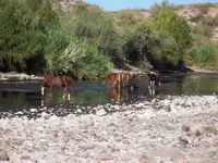 100_2399.webp