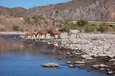 100_2674.webp