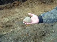 good day\'s hunt 002 (3).webp good day\'s hunt 002 (3).webp