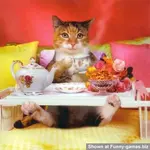birthday_funny_picture_04.webp