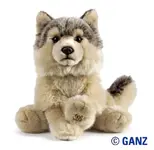 timber-wolf.webp