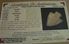 cert6.webp