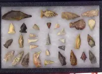 my fossils 105.webp
