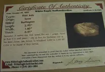 cert5.webp