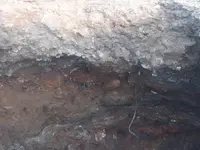 p 016.webp