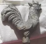 Rooster.webp
