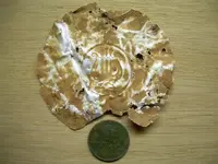 DSCN2881.webp