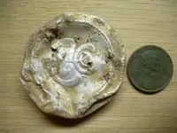 DSCN2882.webp