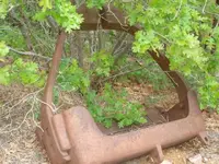db photos 106.webp