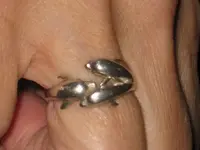 Dolphin ring.webp